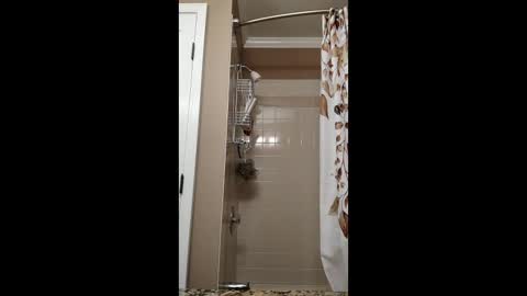 forlorndog online show from February 20, 6:37 am