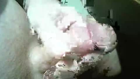 Frank online show from December 17, 12:22 pm