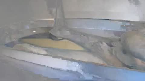 franky84 online show from March 23, 12:33 pm