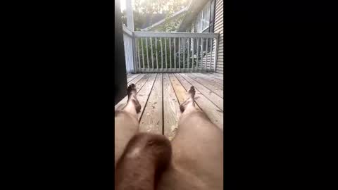 Freedombliss online show from November 19, 9:36 pm