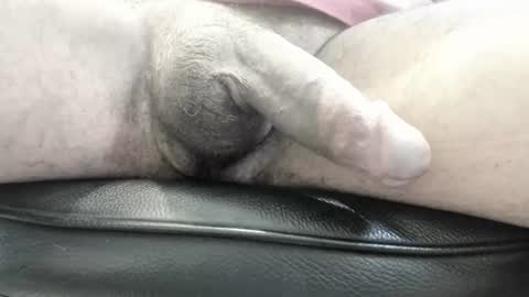 freedomwill2018 online show from February 9, 5:56 am