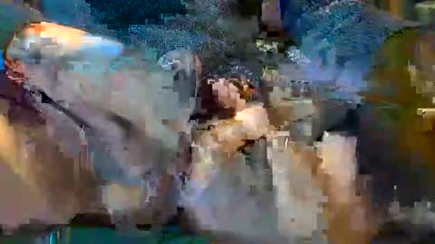 Snapshot of frenchpapalover chatting on February 2, 8:13 am frenchpapalover online show from February 2, 8:13 am