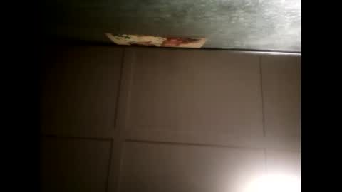 Warwick online show from February 13, 8:48 am