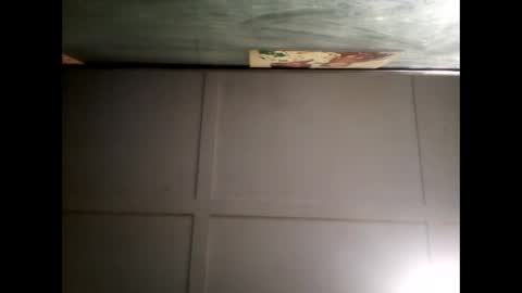 Warwick online show from December 8, 8:30 am