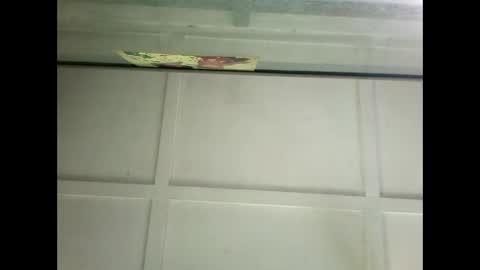 Warwick online show from January 14, 6:24 am