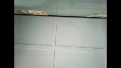 Warwick online show from January 9, 10:09 pm