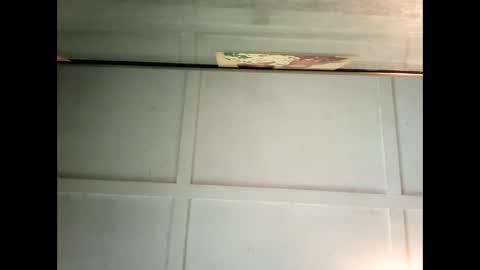 Warwick online show from February 4, 4:37 am