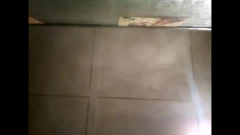 Warwick online show from February 10, 10:31 am