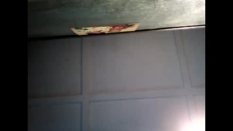 Warwick online show from February 22, 7:56 am