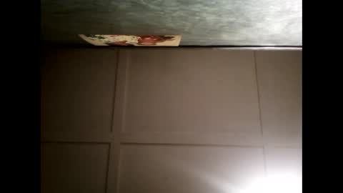 Warwick online show from December 12, 11:18 am