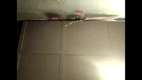 Warwick online show from October 8, 8:07 am