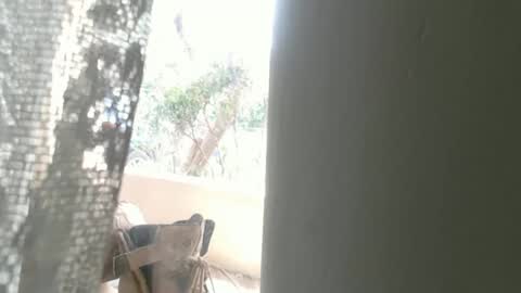 Pizzaz online show from November 14, 1:42 am