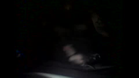 Snapshot of garethh377 chatting on November 2, 3:33 am garethh377 online show from November 2, 3:33 am