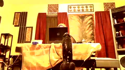 gatewaylaptop2019 online show from March 9, 7:56 am