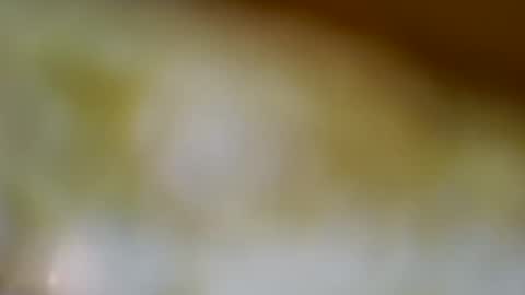 germanandy71 online show from November 21, 9:41 am