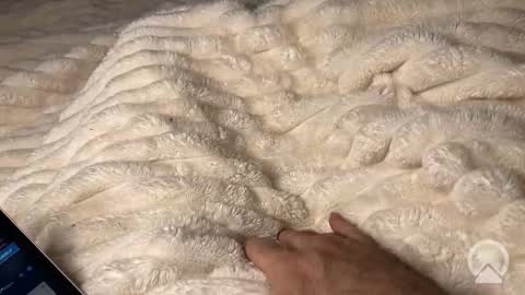 SeattleSmiles online show from October 15, 3:36 am