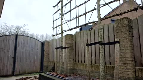 Snapshot of goldenelixxxir chatting on February 10, 10:09 am   online show from February 10, 10:09 am