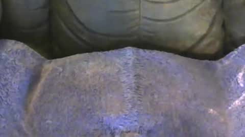 goodtimes1965 online show from January 18, 6:53 pm