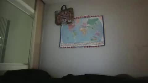 Snapshot of gregrev chatting on January 31, 1:33 am gregrev online show from January 31, 1:33 am