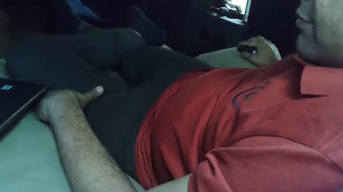 Grey Stud online show from March 2, 4:50 am