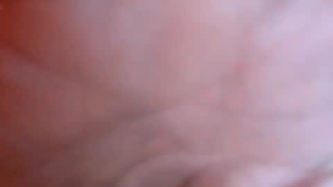 grrcbus online show from April 23, 11:37 am