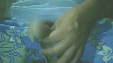 guidogomezcag online show from November 22, 6:57 am