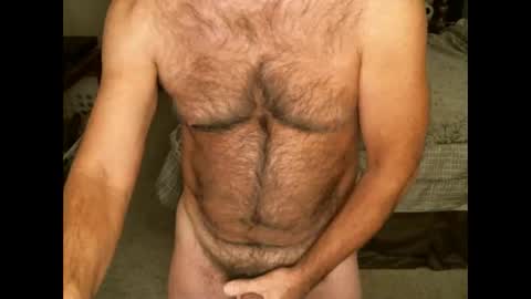 Hairy pecs online show from November 12, 7:47 am