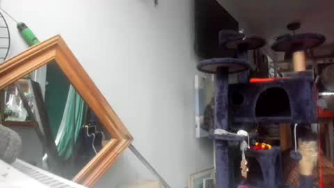 handncocknocum online show from February 7, 7:40 am