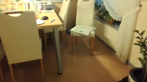 harald1234 online show from July 26, 1:19 pm