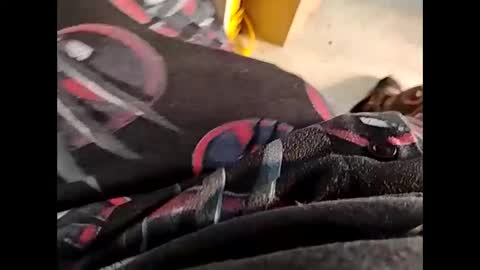 hardandhorny422 online show from October 4, 6:13 pm