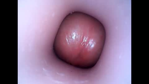 hardhammerboy online show from January 12, 7:53 pm