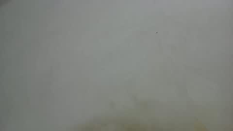 ricardo online show from April 21, 5:41 pm