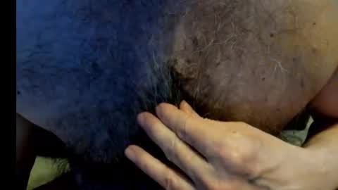 Snapshot of harry_banana chatting on December 27, 8:50 pm harry_banana online show from December 27, 8:50 pm