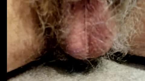 Snapshot of harry_banana chatting on December 17, 8:56 am harry_banana online show from December 17, 8:56 am