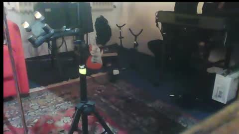 hot n  nasty online show from January 29, 10:11 pm