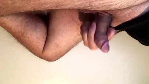 Penfold online show from November 4, 2:51 pm