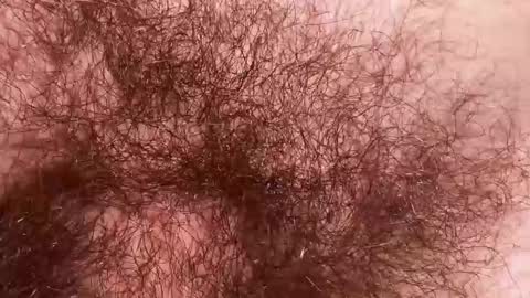 Arnold online show from November 25, 9:17 pm