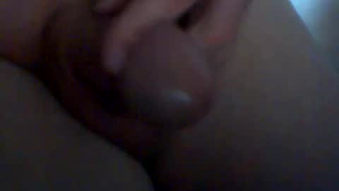 hoefli online show from July 11, 2:19 pm