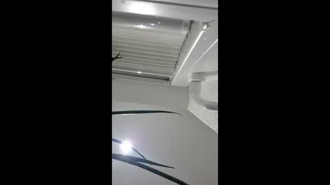 holzinger online show from April 5, 11:01 pm