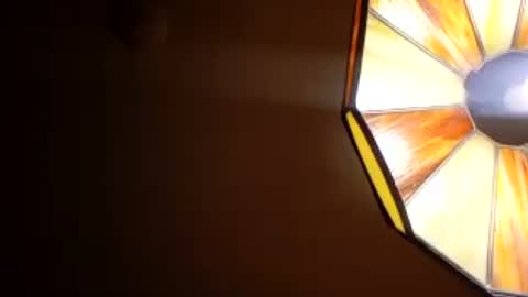 honeybear2026 online show from July 28, 7:38 am