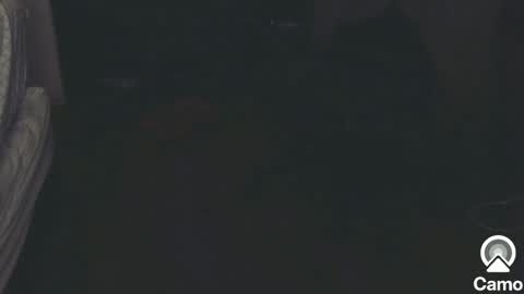 Snapshot of horny0g chatting on December 14, 6:56 am horny0g online show from December 14, 6:56 am