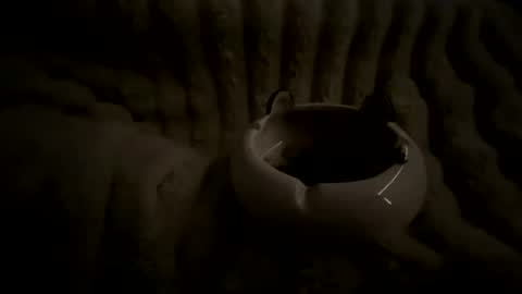 hornybear420420420 online show from December 31, 12:43 am