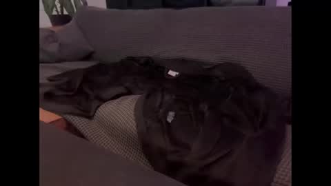 hornyboy_vie online show from January 17, 10:38 pm