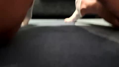 HornyDudek69 online show from February 1, 11:36 pm