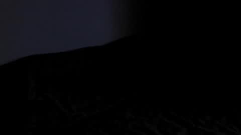 Tyler online show from February 23, 10:33 pm