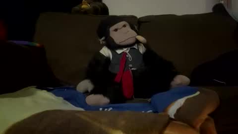 hunglong8 online show from October 24, 11:50 pm