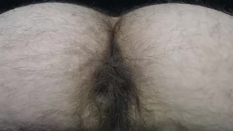  I AM NOT A DIRECTOR I AM THE BOSS            KINGDADDYSIRSTR8ALPHAMASTER online show from February 17, 1:10 pm