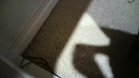 Hypeman online show from February 17, 7:51 am