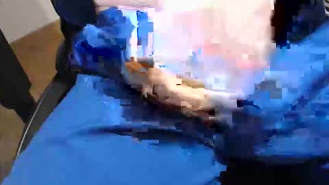 icky_thumps online show from January 17, 6:38 am