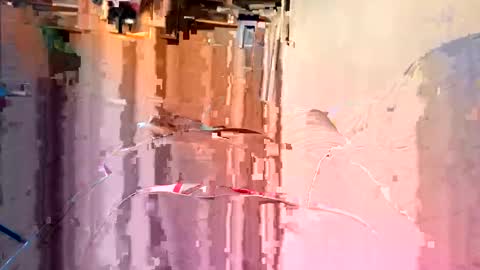igorecheks online show from January 5, 10:43 am